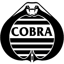 COBRA Baja team logo